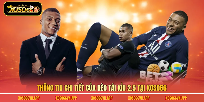 Thông tin chi tiết của kèo tài xỉu 2.5 tại Xoso66